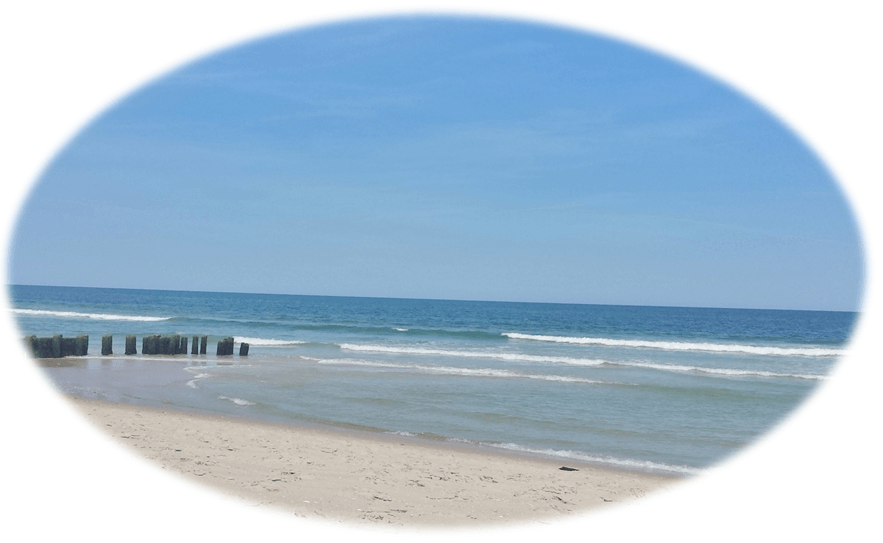 Beach Haven West Real Estate For Sale By Owner Beach Haven West