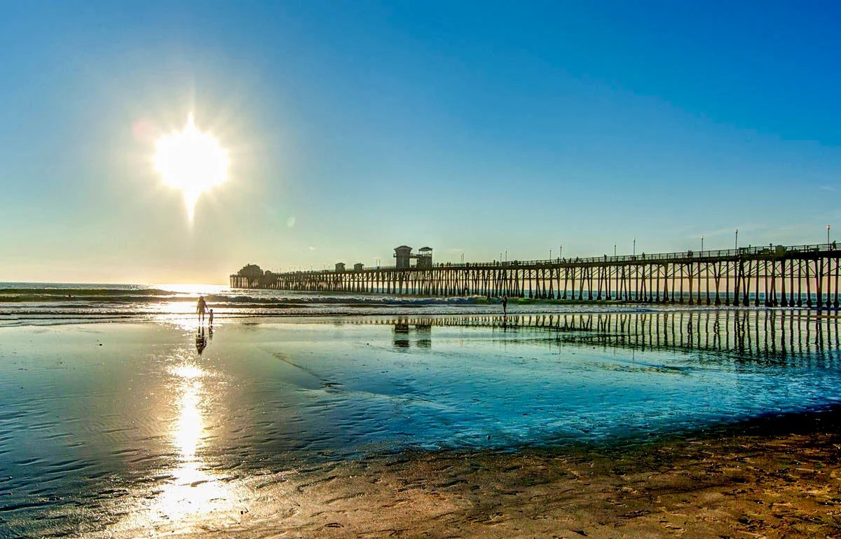 Are Dogs Allowed At Oceanside Beach