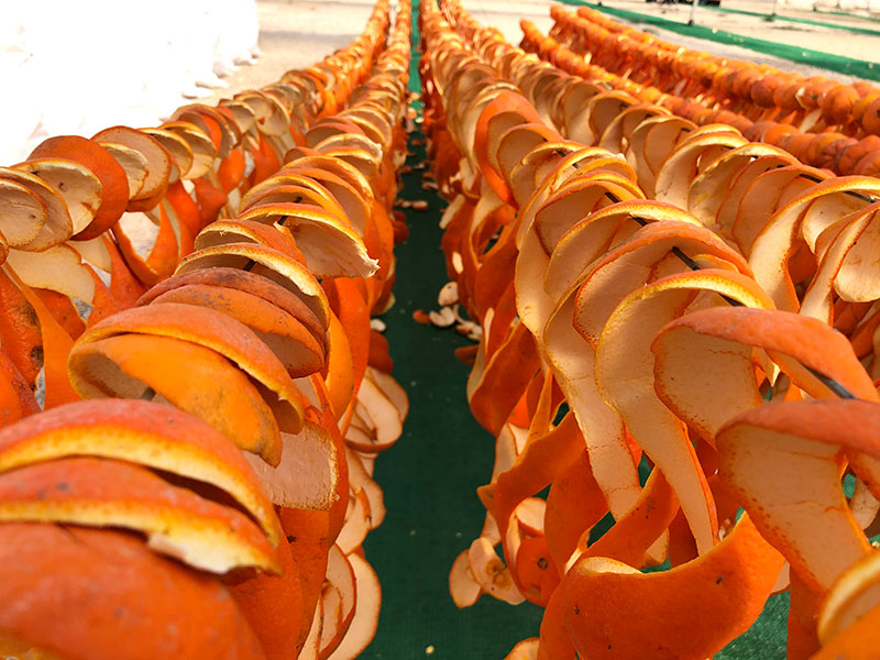 Sweet and Bitter Orange being peeled in Murcia, Spain Beacon Commodities