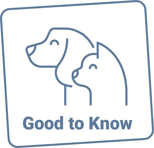 Beacon Valley Animal Hospital in Naugatuck, CT