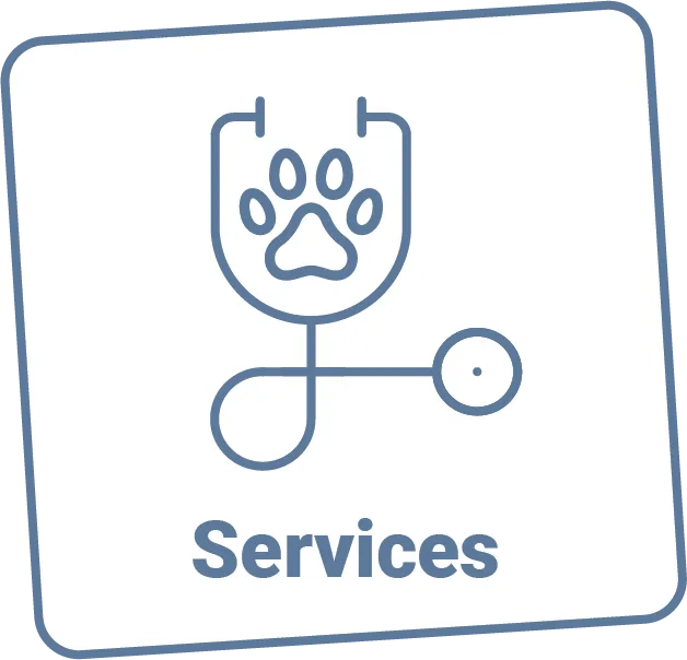 Beacon Valley Animal Hospital in Naugatuck, CT