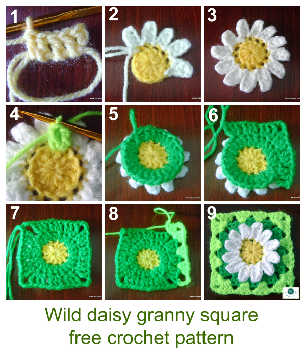 crochet wild daisy granny square, crochet daisy granny square