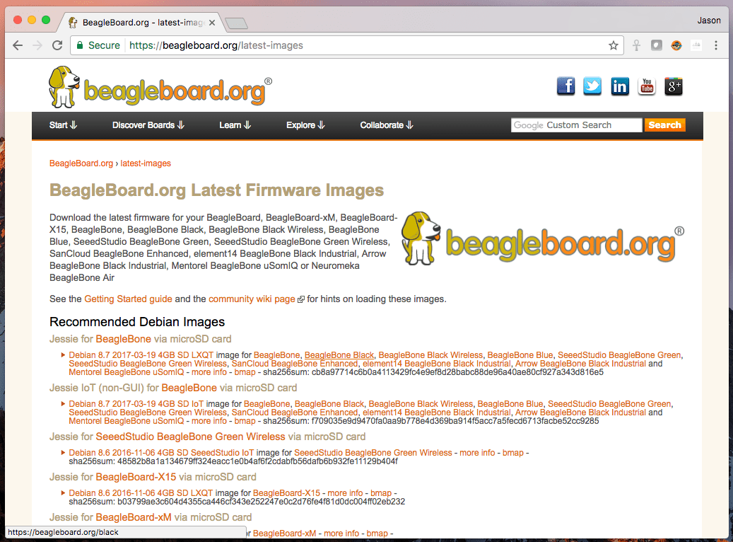 Gone Bananas Pocket Beagle Getting Started