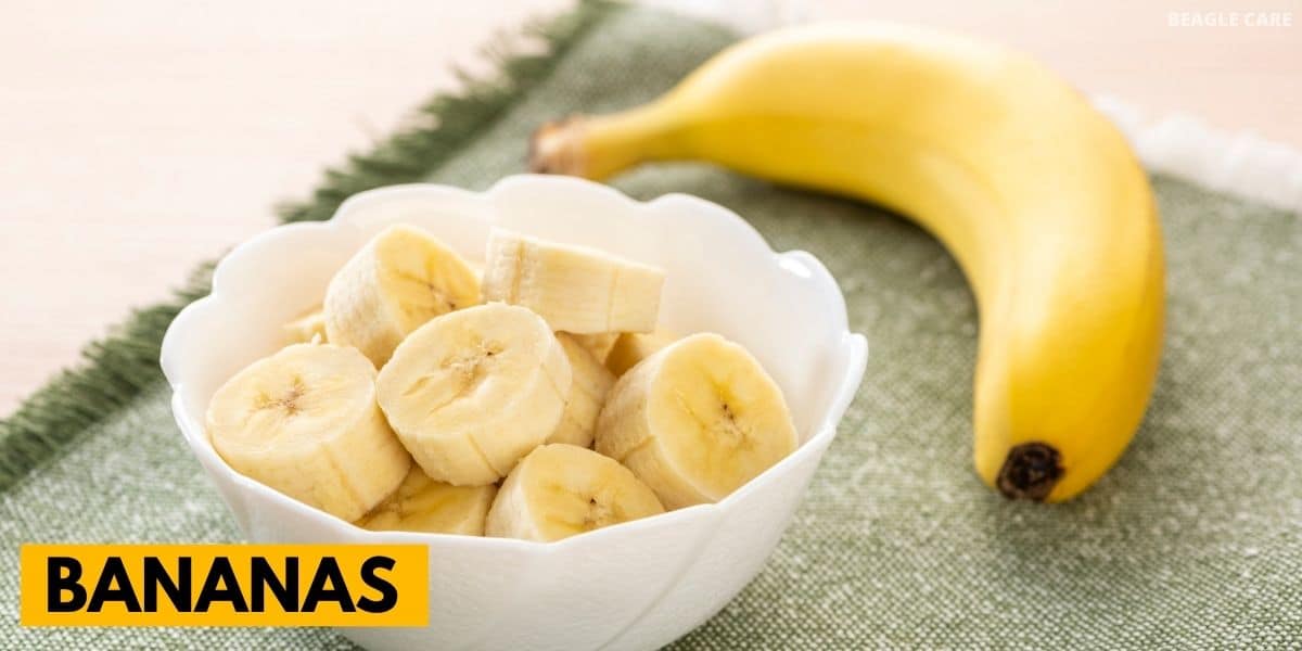 21 Fruits your Beagle Can Eat (with Feeding Guide) Beagle Care