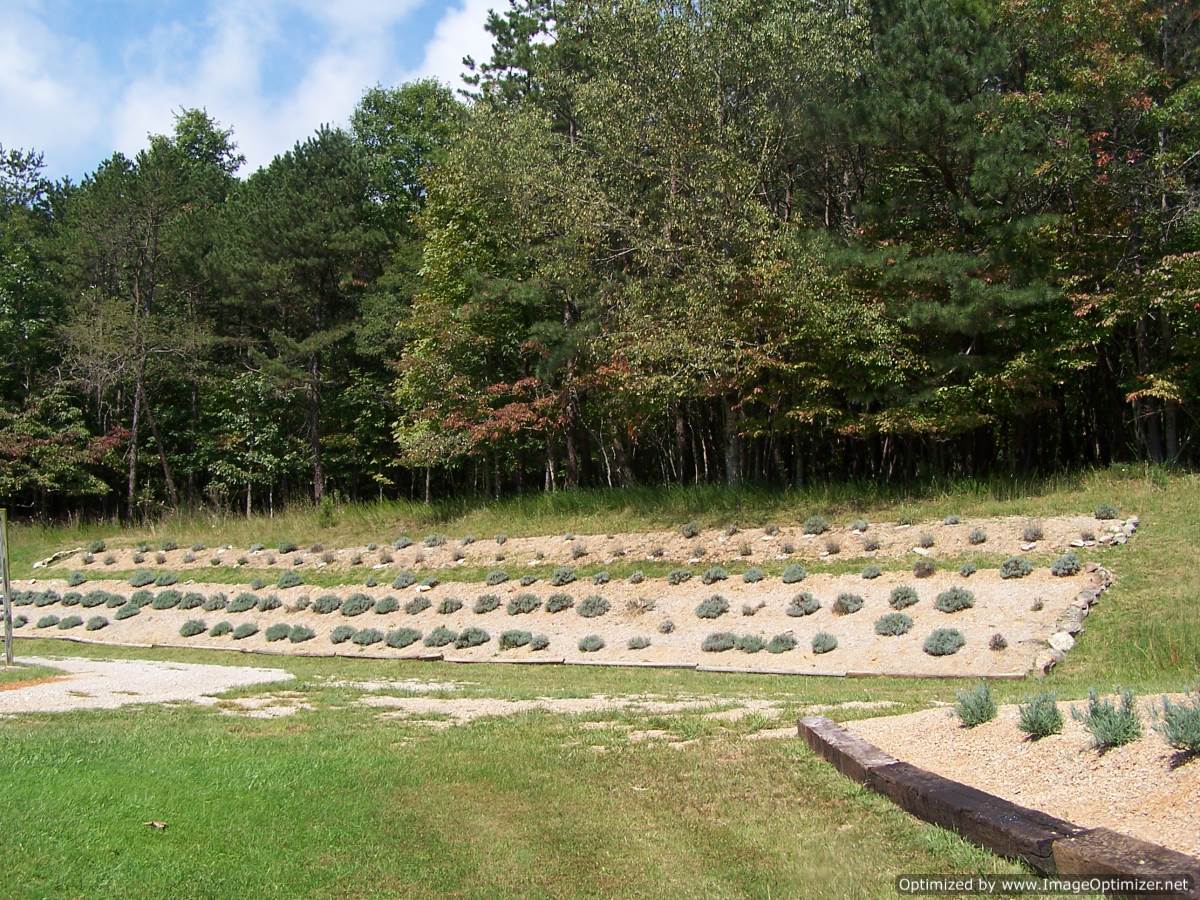 Beagle Ridge Herb Farm