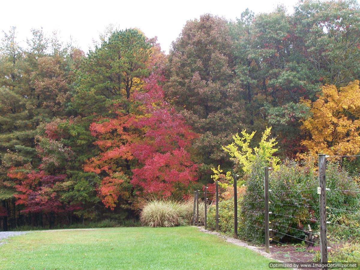 Beagle Ridge Herb Farm