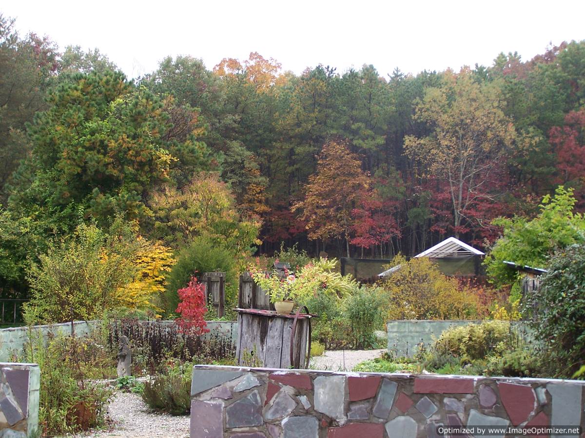 Beagle Ridge Herb Farm