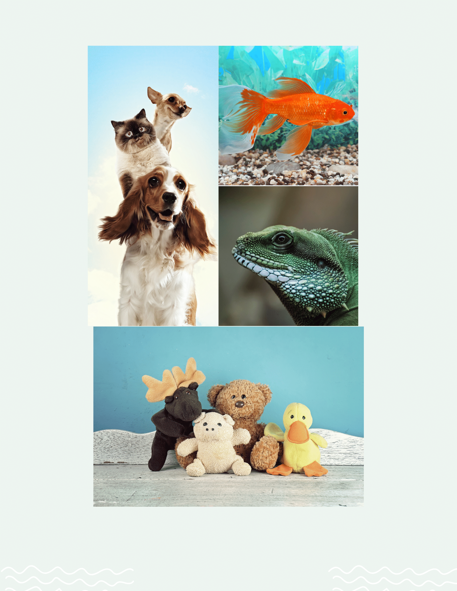 The Annual Pet Show Beaman Memorial Public Library