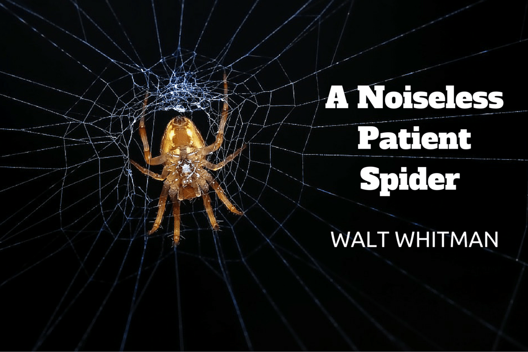Summary of A Noiseless Patient Spider by Walt Whitman