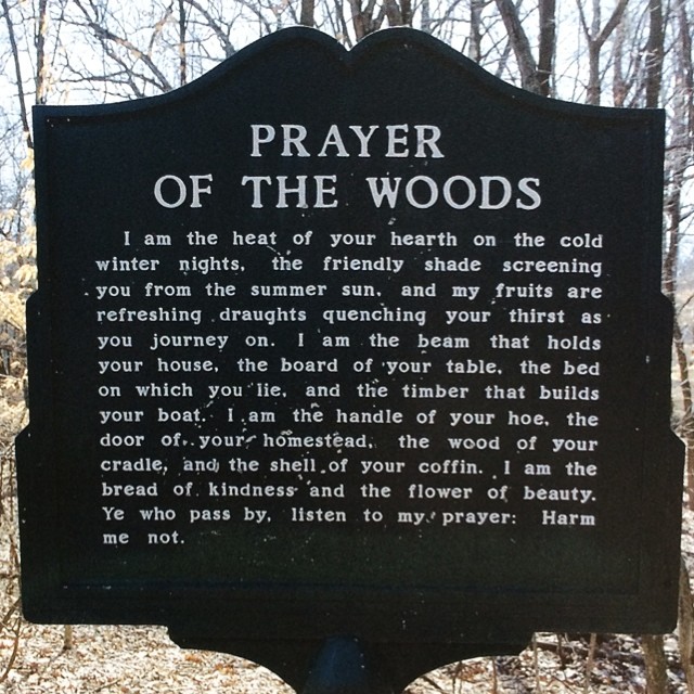 Summary of The Prayer of the Woods