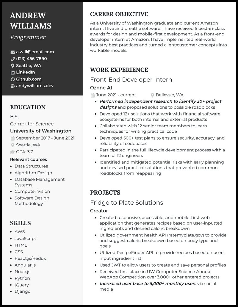 3 EntryLevel Programmer Resume Examples for 2024