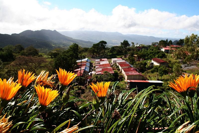 Beanealogy Farmer Direct Coffee Roaster Atlanta Sustainable Coffee
