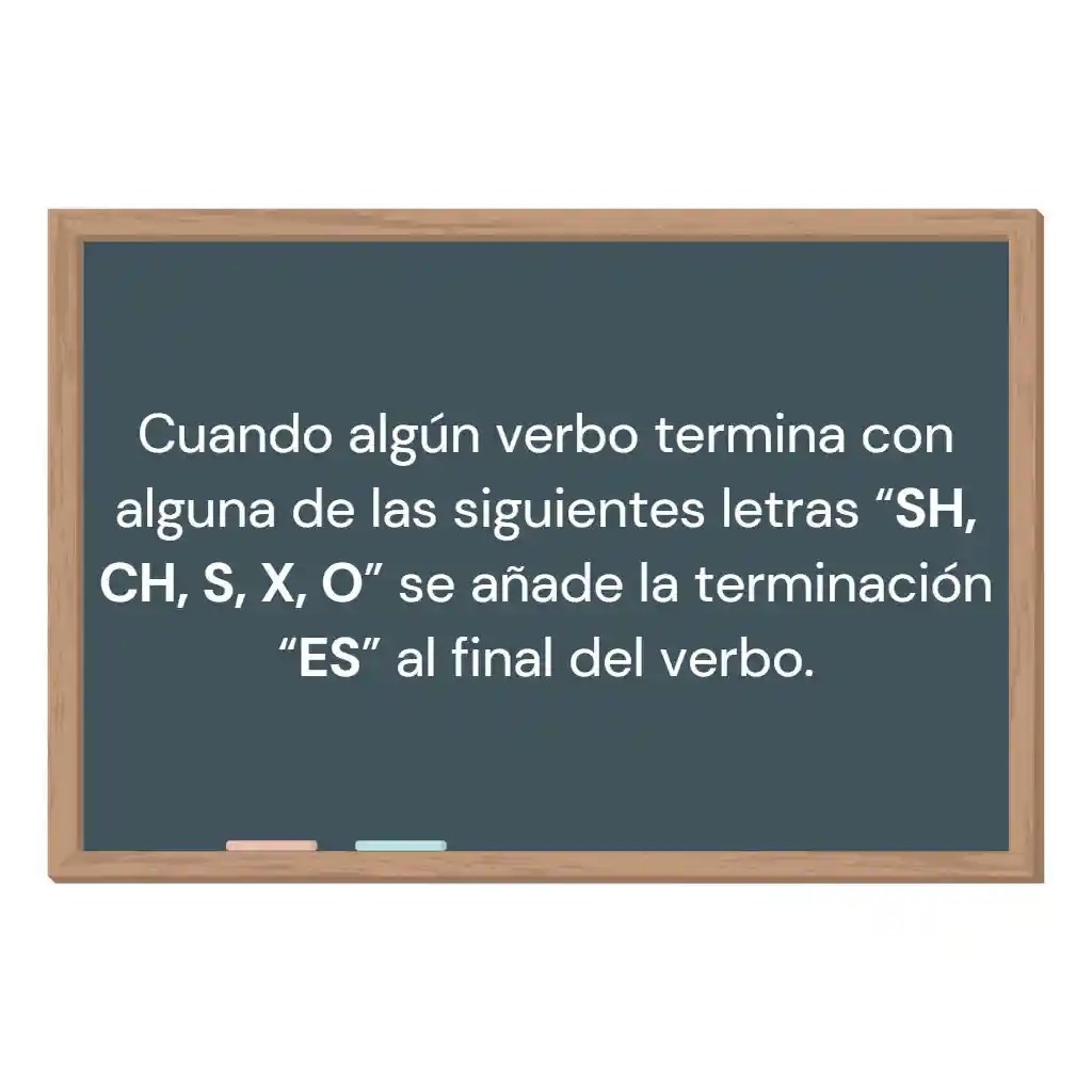 Verbos en tercera persona en inglés EJEMPLOS y conjugación Beanglo