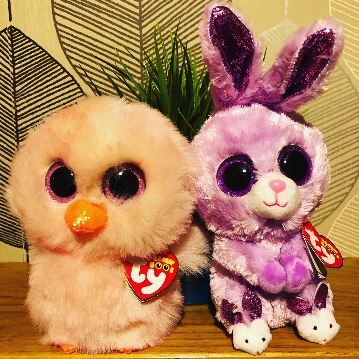 Christmas 2023 Beanie Boos beanie boo Beaniepedia