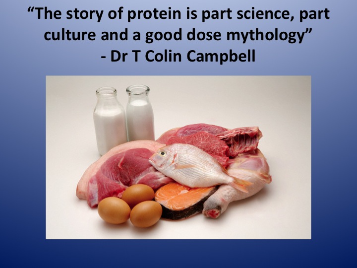 The protein myth Beantown Kitchen