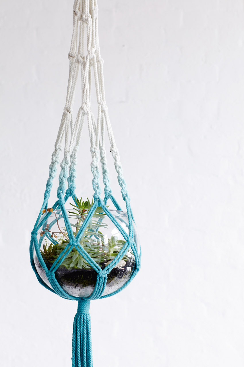 DIY macrame plant hangers