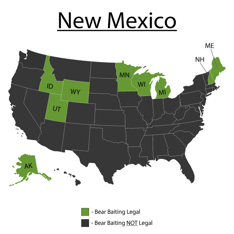 Can You Bait Bear in New Mexico? Bear Baiting Tips