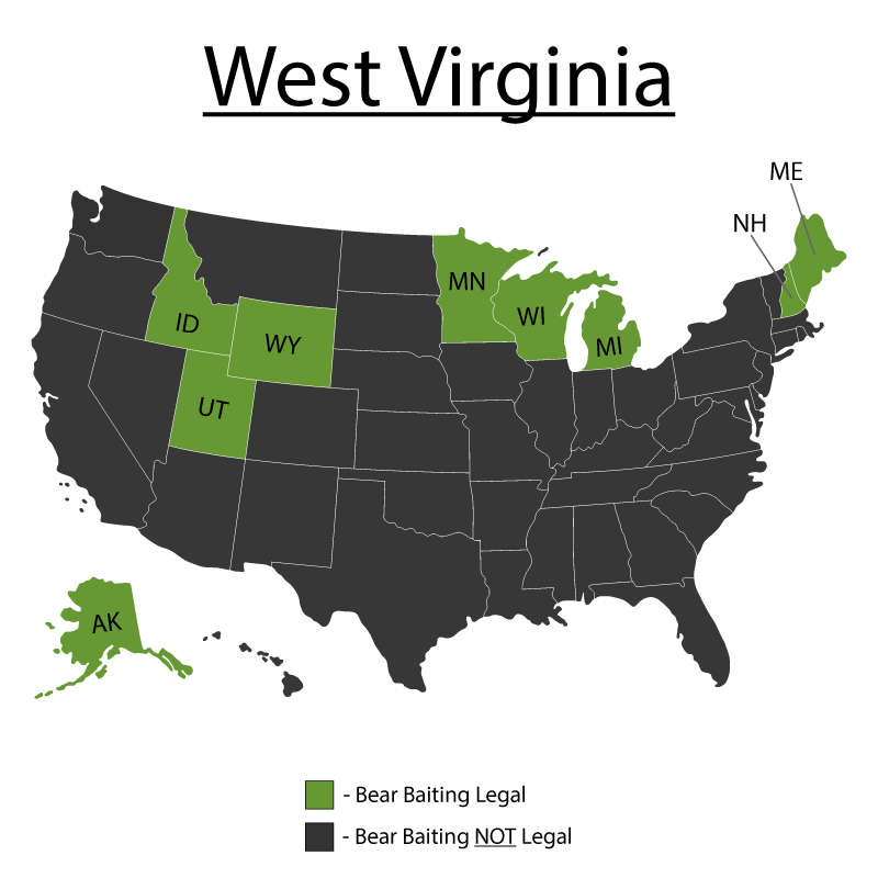 Bears In Virginia Map Can You Bait Bear in West Virginia? Bear Baiting Tips