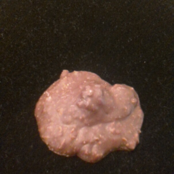 Cow Patties Bear Creek Fudge & Chocolate