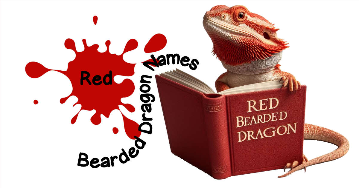 195 Fiery Names for Red Bearded Dragons
