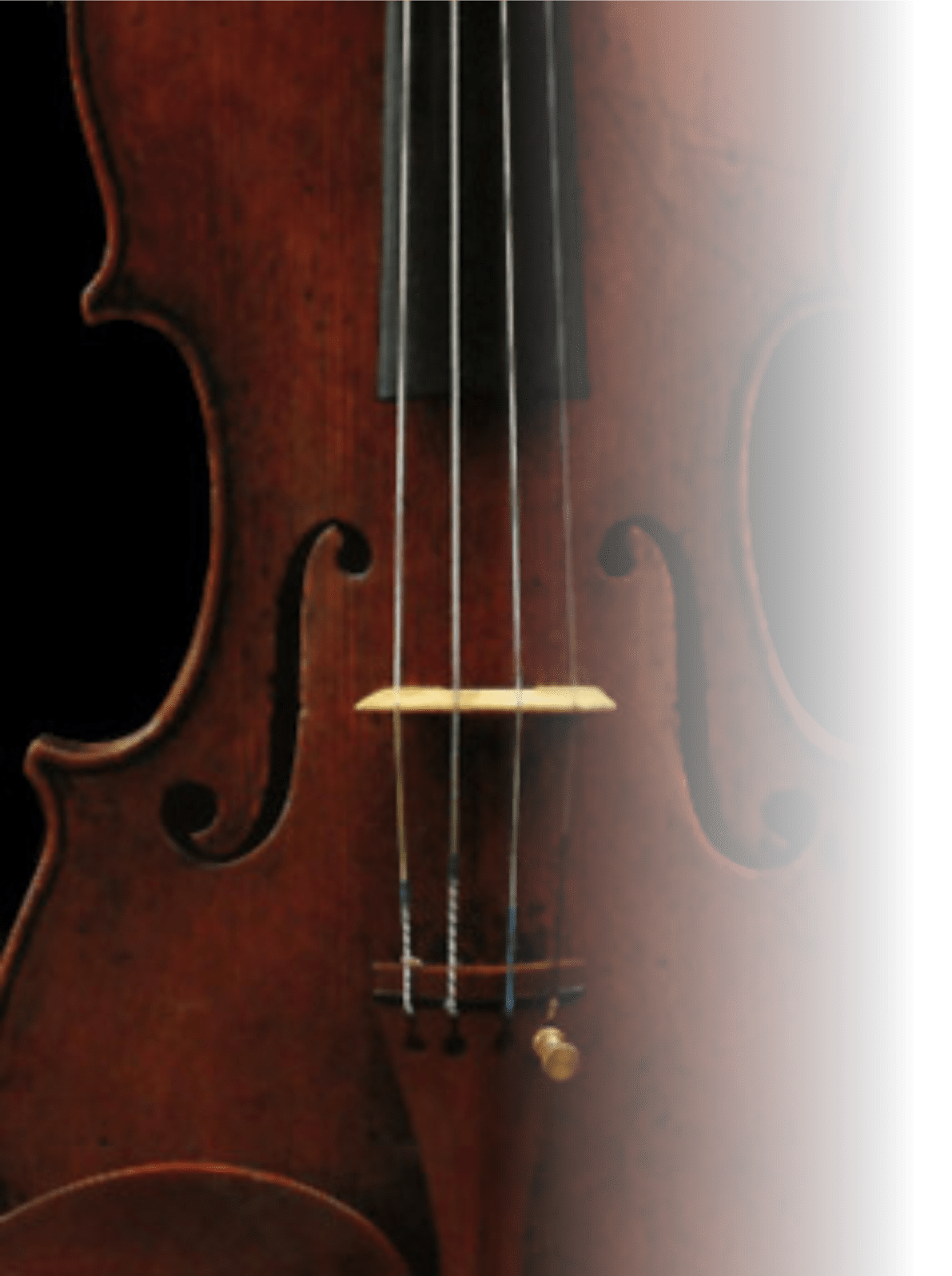 to Bearden Violin Shop