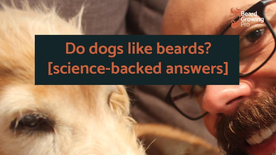 Do dogs like beards? The real science backed answer!