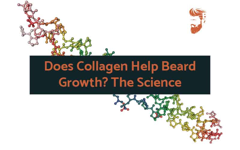 The Power of Collagen to Help Beard Growth (The Research)
