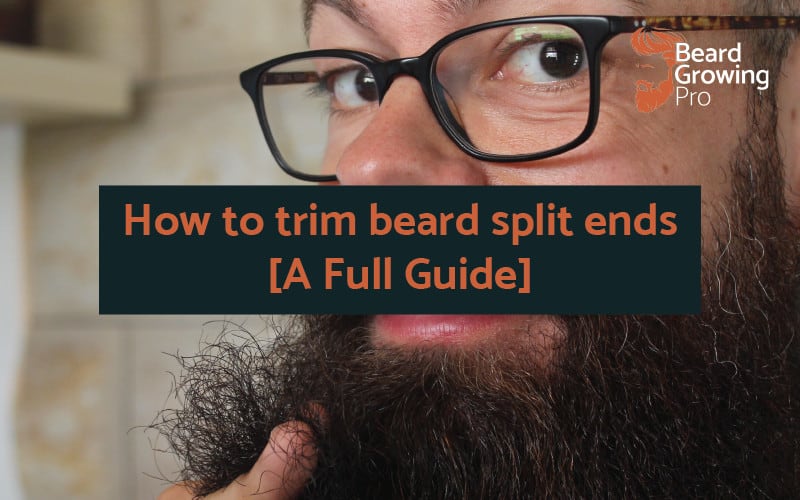 How to trim beard split ends [Dusting and Trimming]