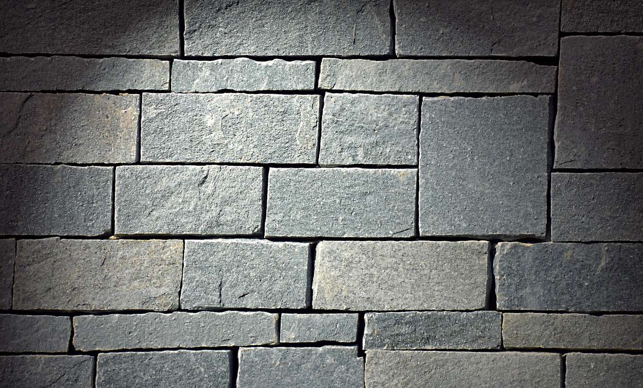 Bearded Dragon Tile Floor Clsa Flooring Guide