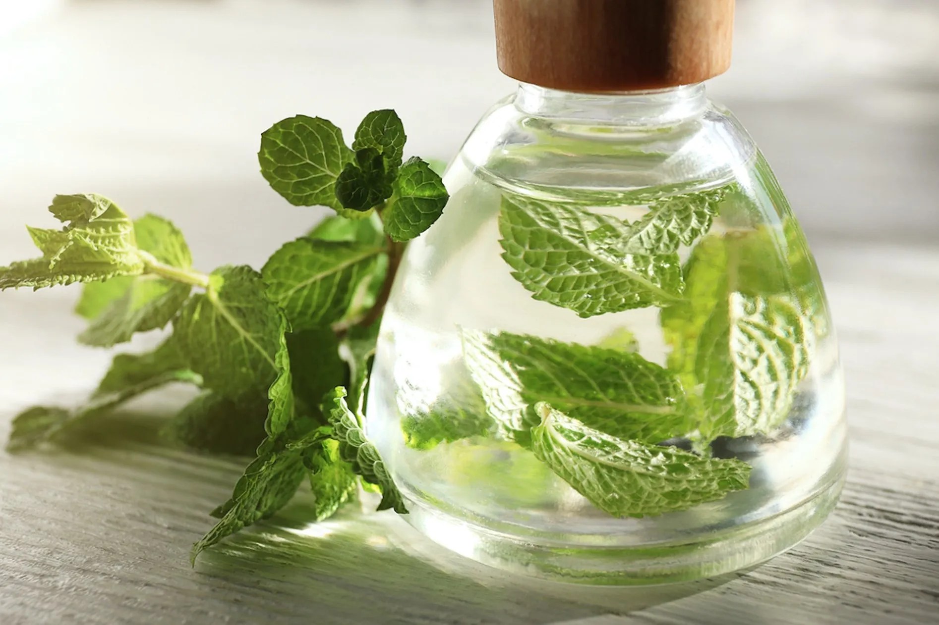 Are There Benefits In Using Peppermint Oil For Beard Growth?