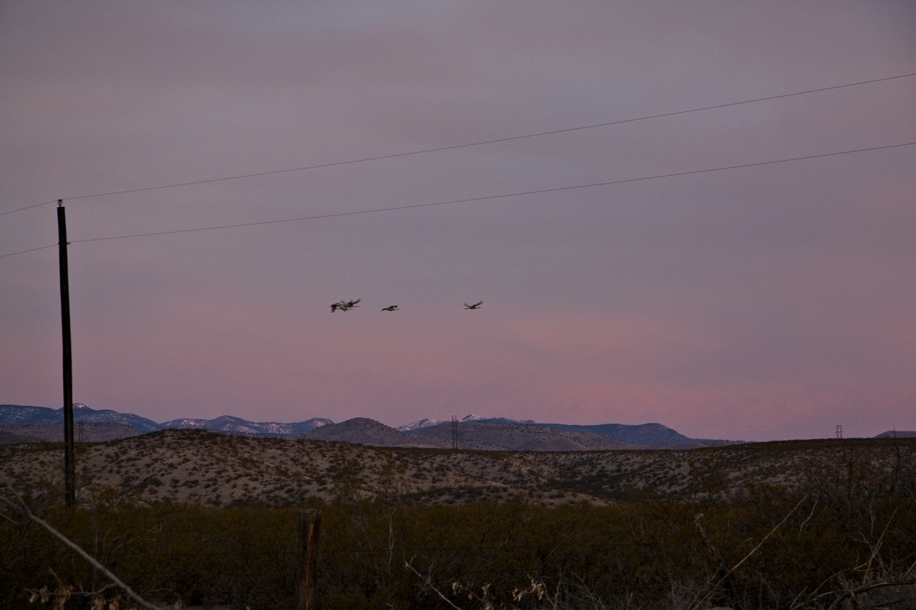 Bosque Birdwatcher’s RV Park San Antonio, NM The Road Home