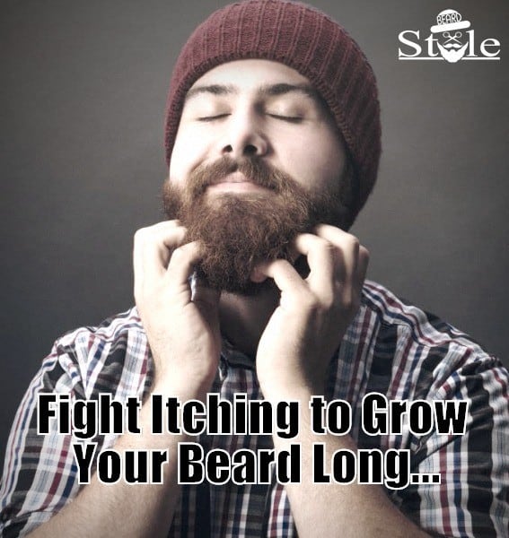 13 Tips to Grow A Healthy, Long Beard DIY Advice