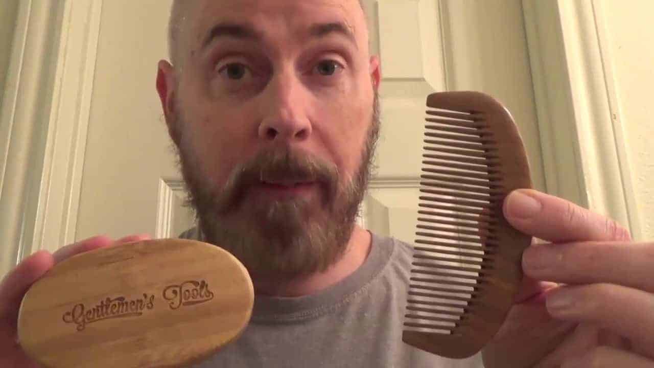 Top 3 Beard Brush Kits in 2019 Honest Review & Ratings
