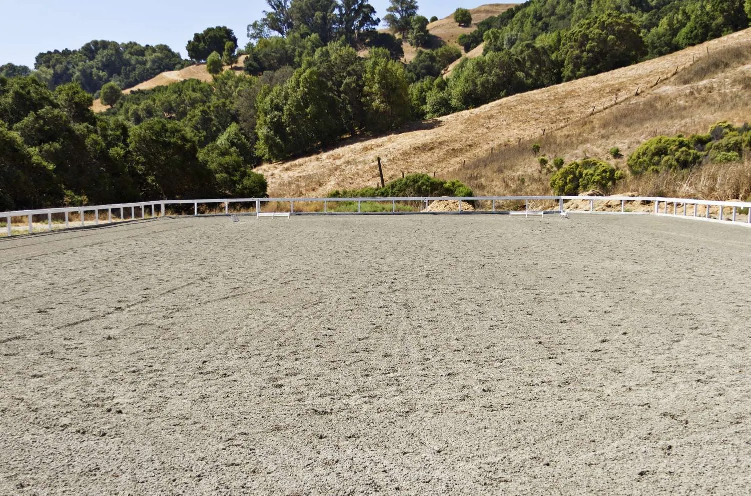 Shiloh West Beare Equestrian Services & Training