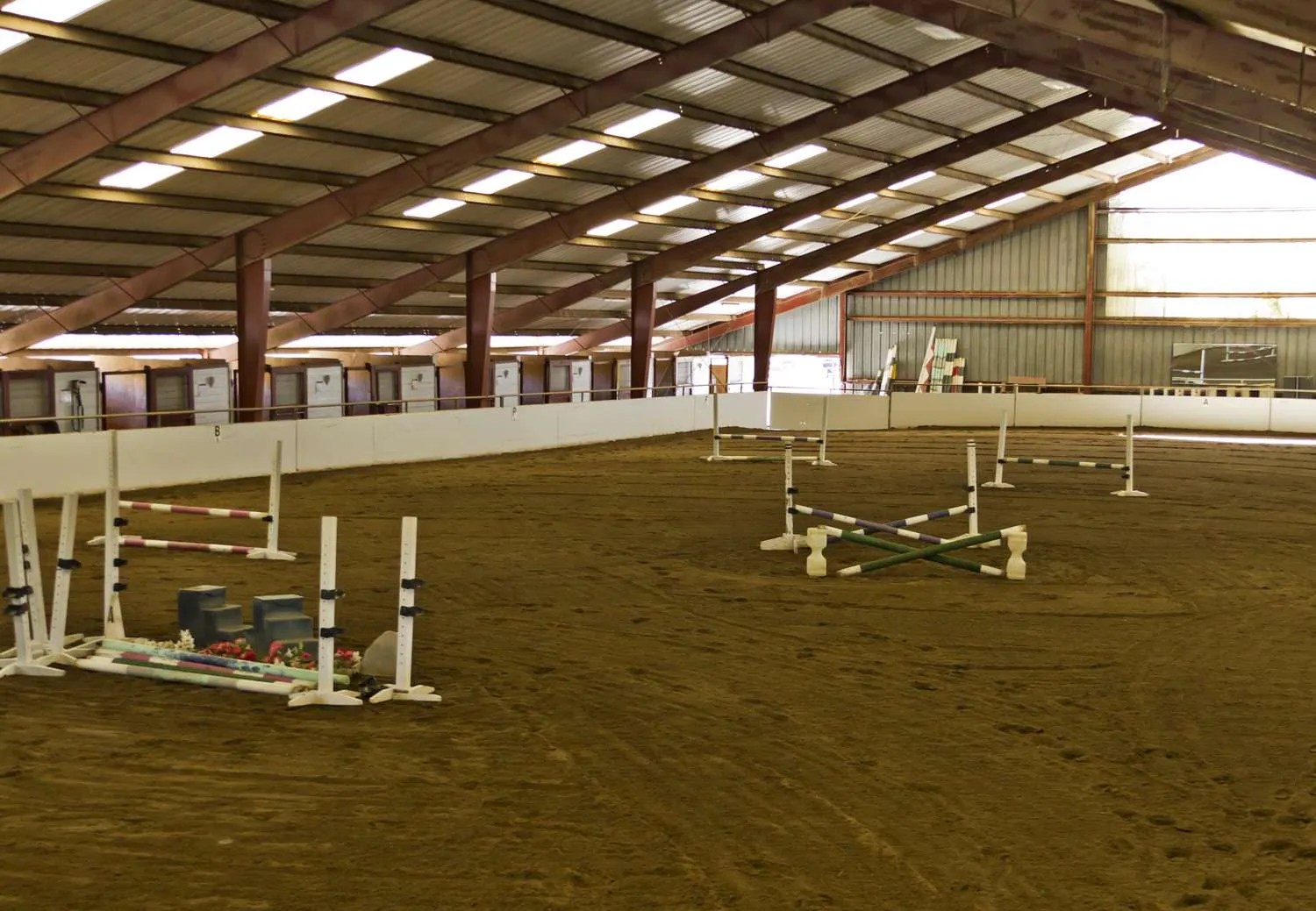 Shiloh West Beare Equestrian Services & Training