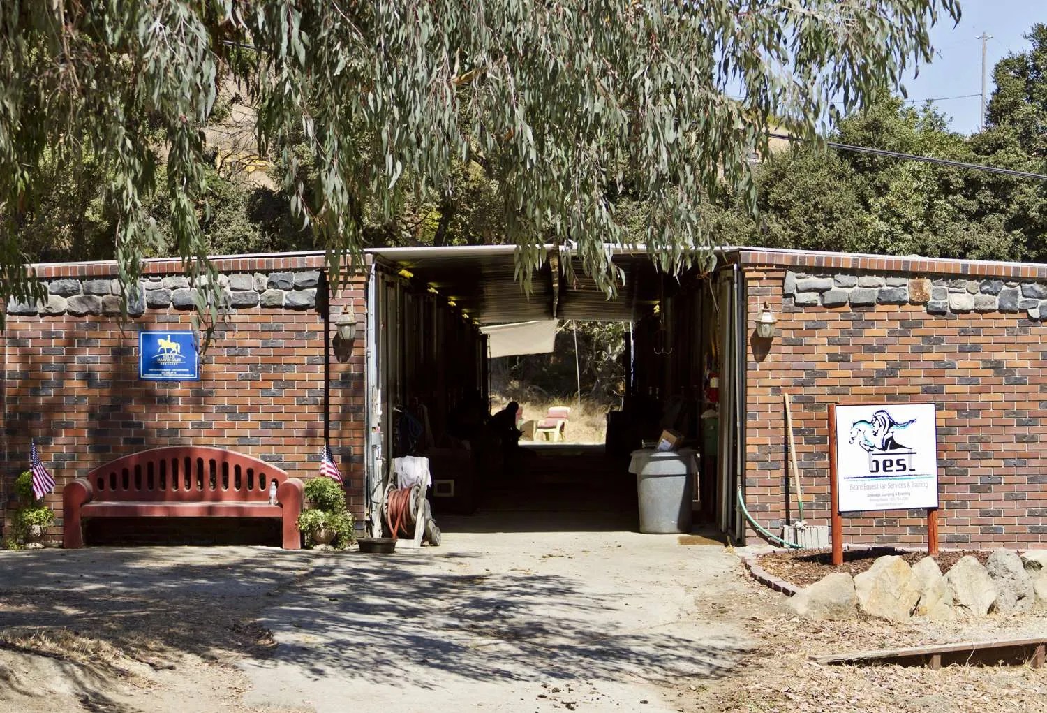 Shiloh West Beare Equestrian Services & Training