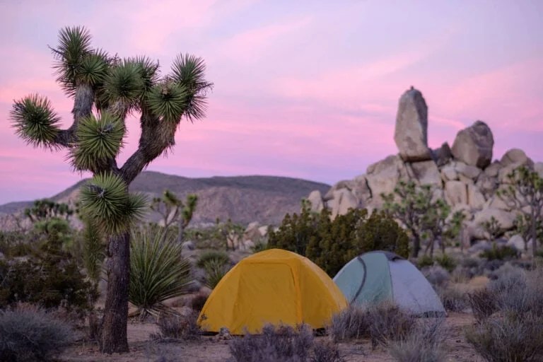 Joshua Tree Backpacking The California Hiking & Riding Trail
