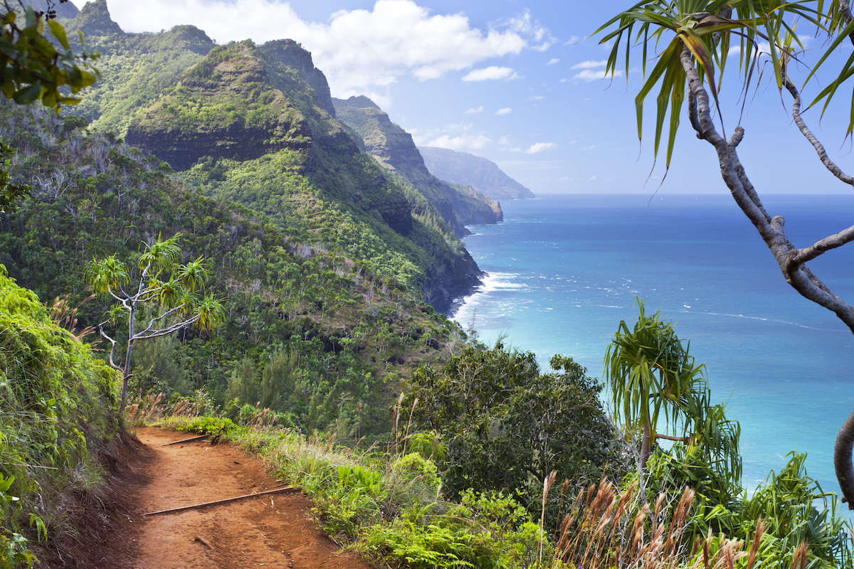15 Best Things to Do In Kauai for Adventure Travelers Bearfoot Theory