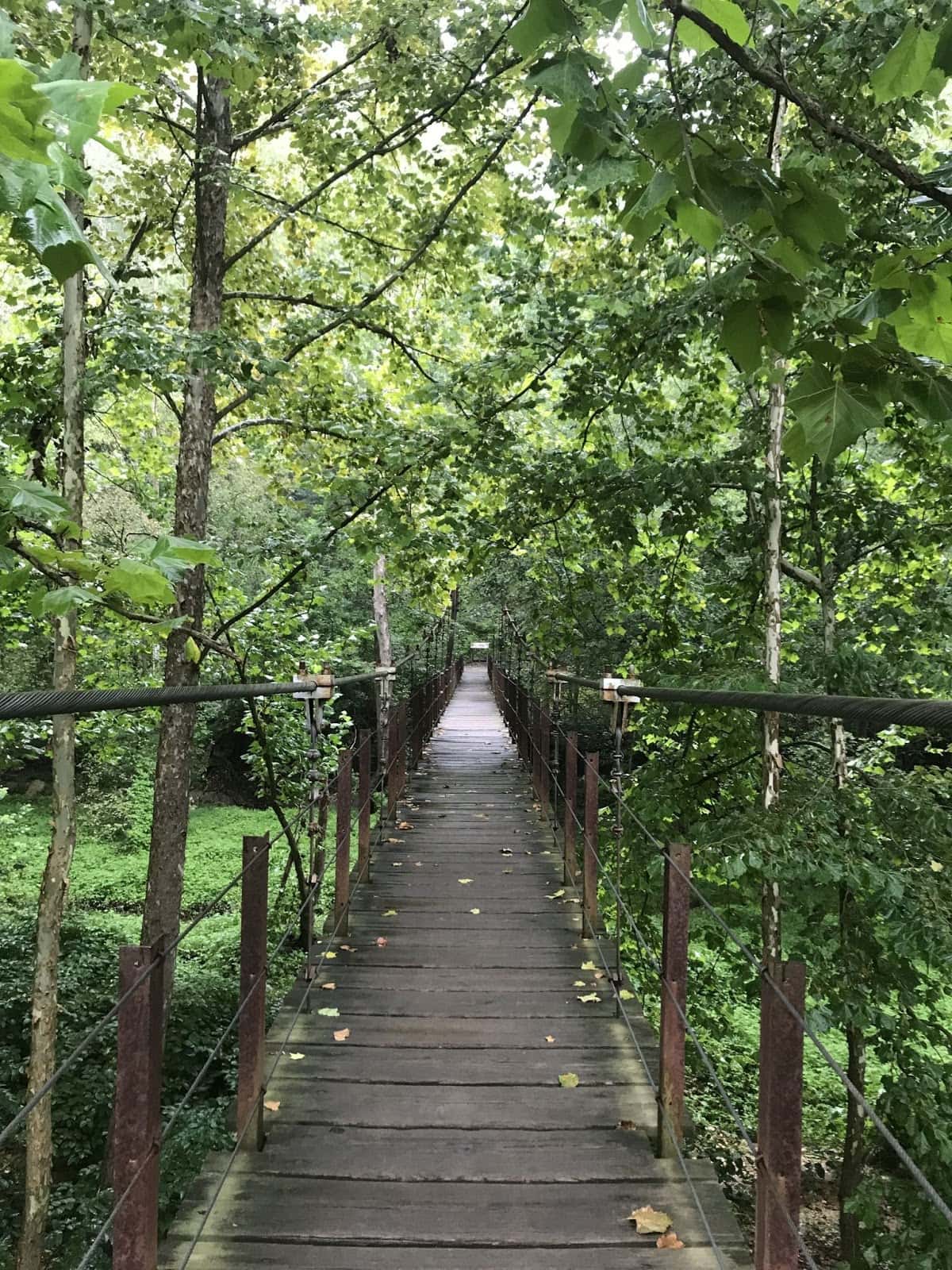 7 Best Hikes in Maryland (According to a Local) Bearfoot Theory