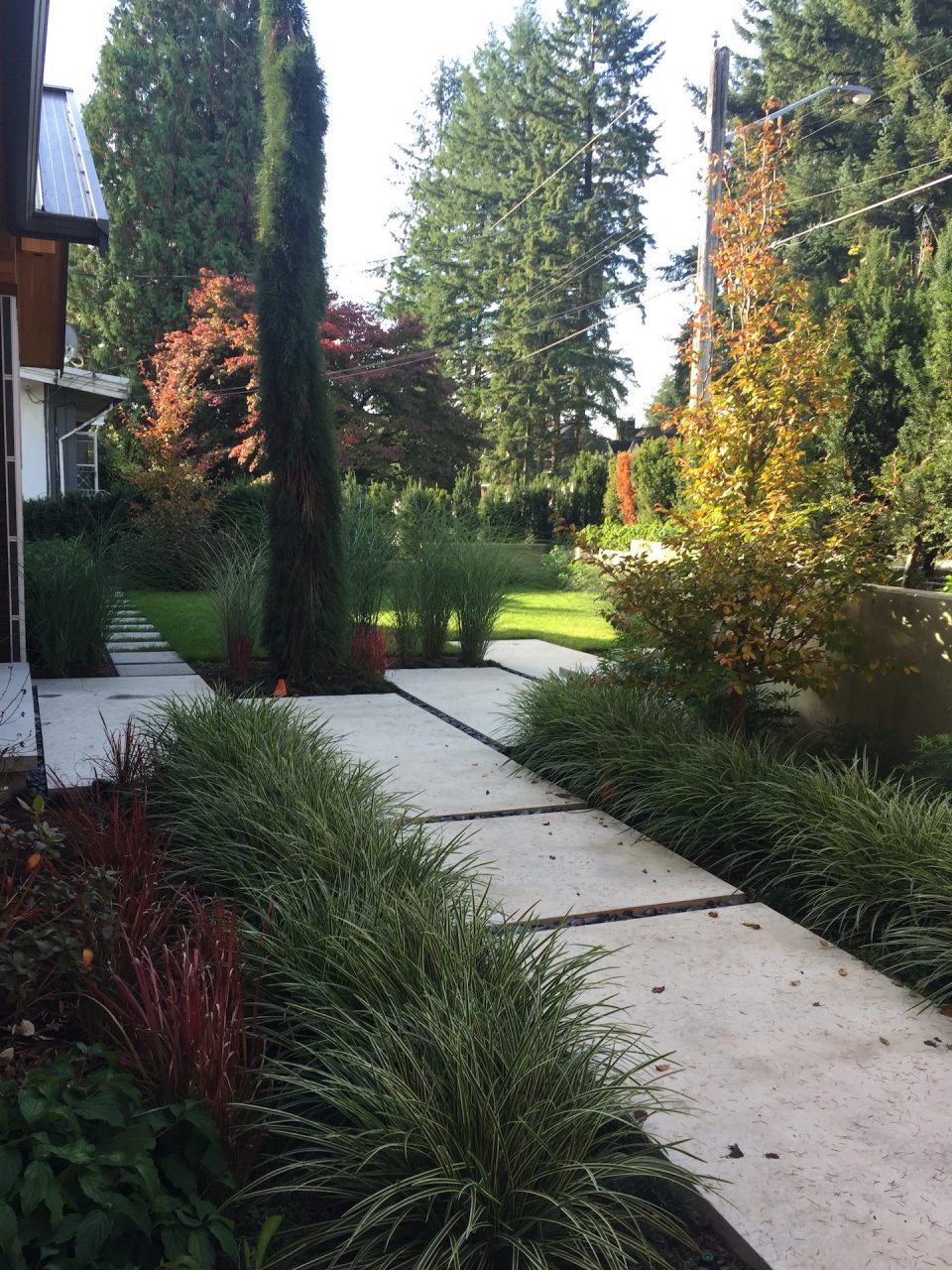 Linton Avenue Bearmark Design