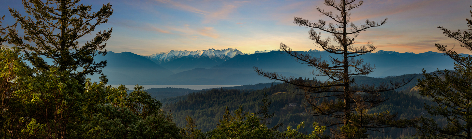 Pinehurst At Bear Mountain Homes For Sale Real Estate Victoria BC