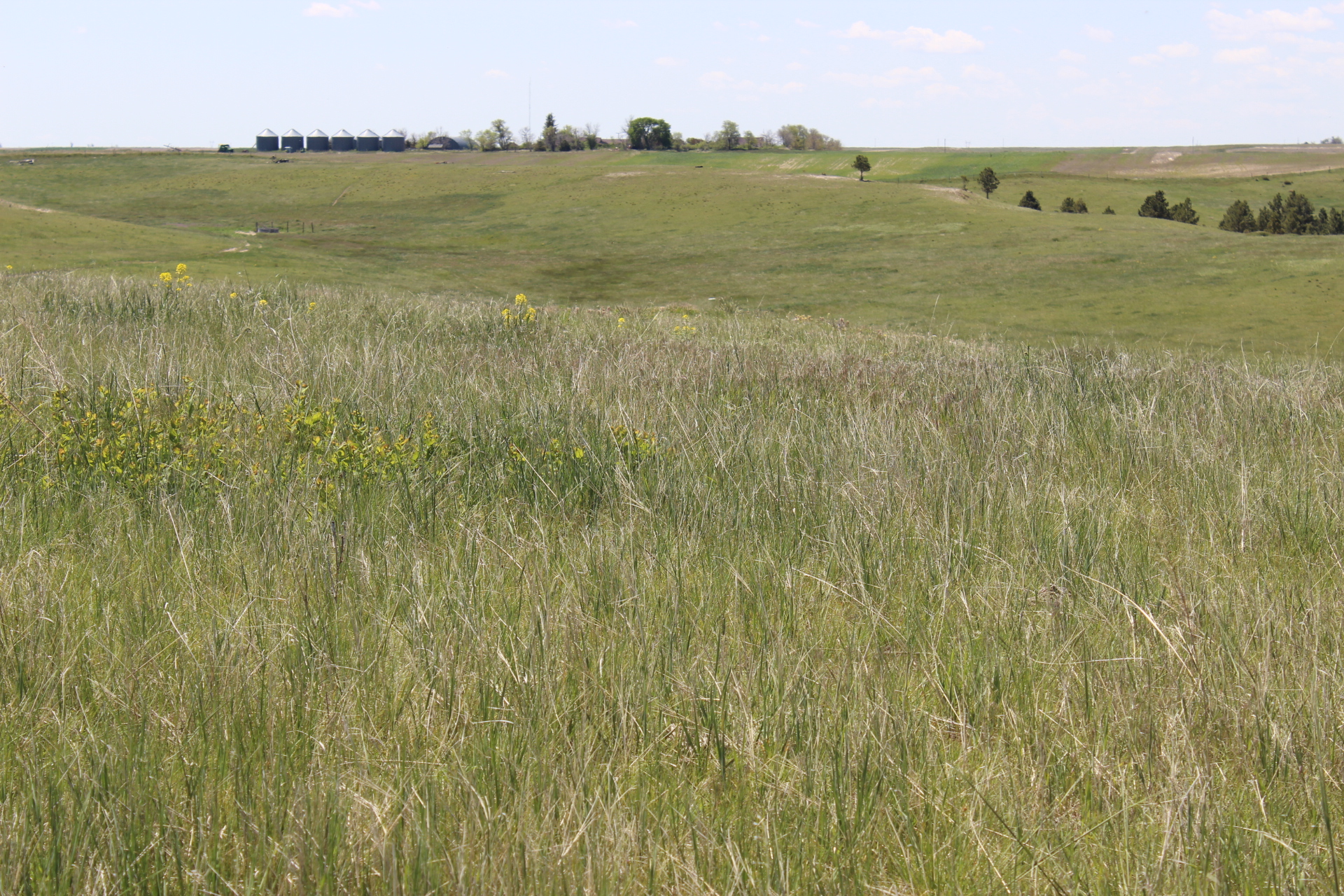 280 Acres Grass Pasture in Harrisburg, NE Bear Mountain Land
