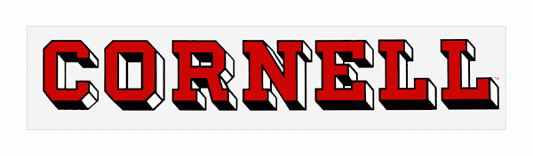 Static Cornell Sticker (Inside Application) Bear Necessities Online Store