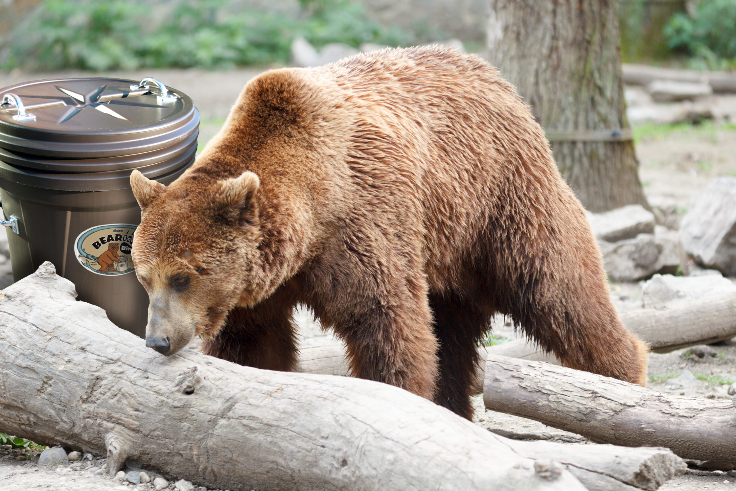 Buying A Bear Proof Trash Can Bear Proof and Bear Resistant Trash Cans