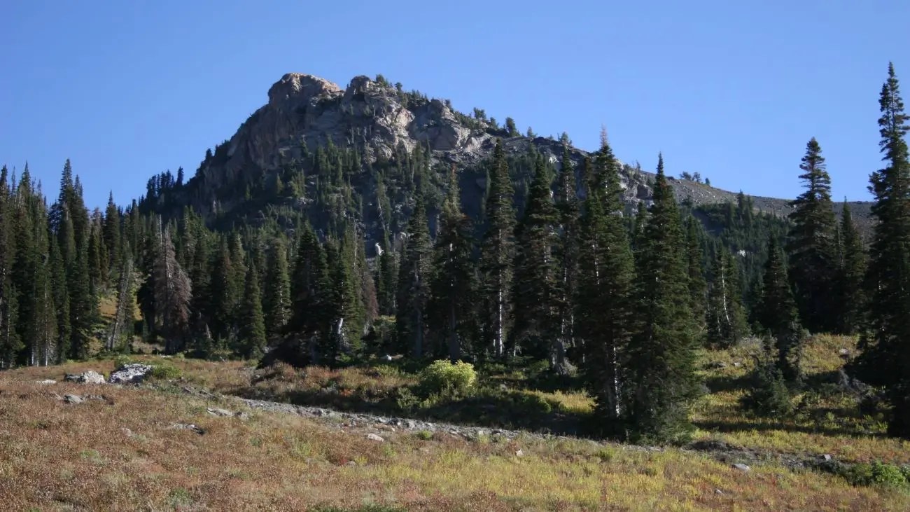 Willard Bay State Park in the Bear River Heritage Area
