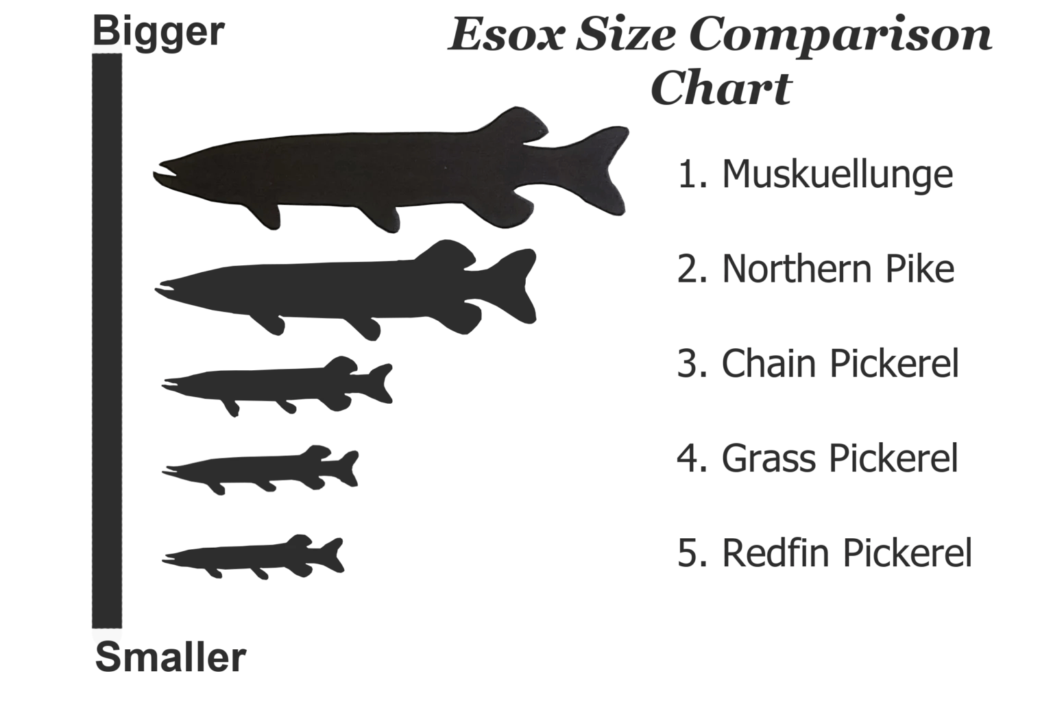 Pike vs Pickerel Differences You Should Know Bear's Den Lodge