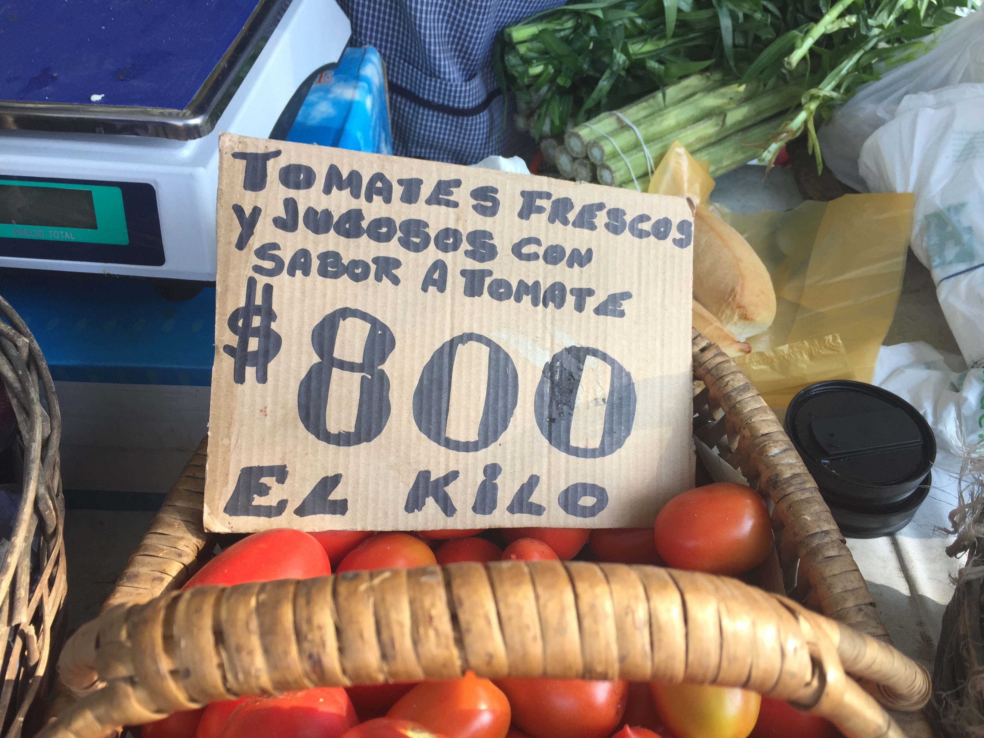 Feria report, with tomatoes with real tomato taste Bearshapedsphere