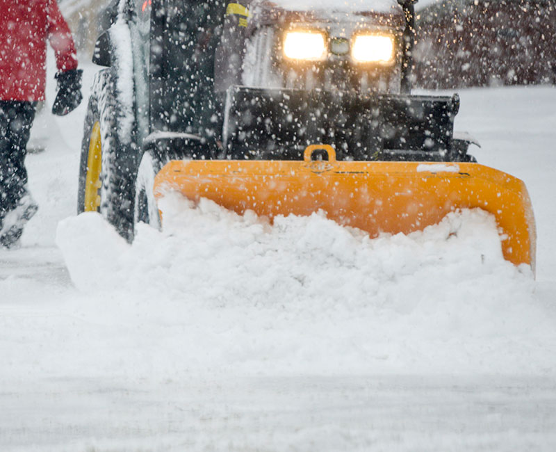 HOW TO BOUNCE BACK FROM HARSH INDIANA WINTERS Bear's Lawn Care Service(05)