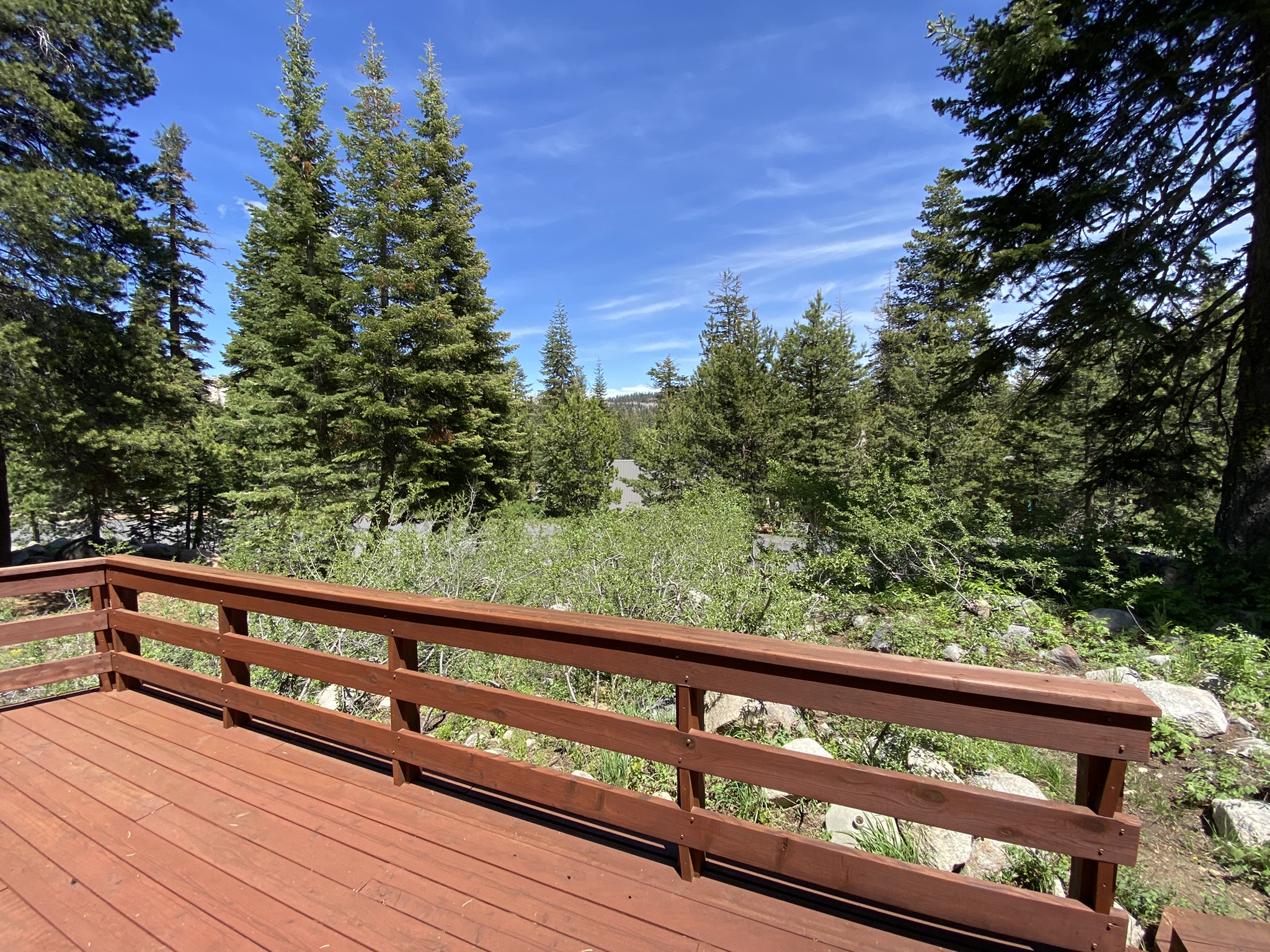 Dazzling Private MidCentury Chalet Bear Valley Real Estate