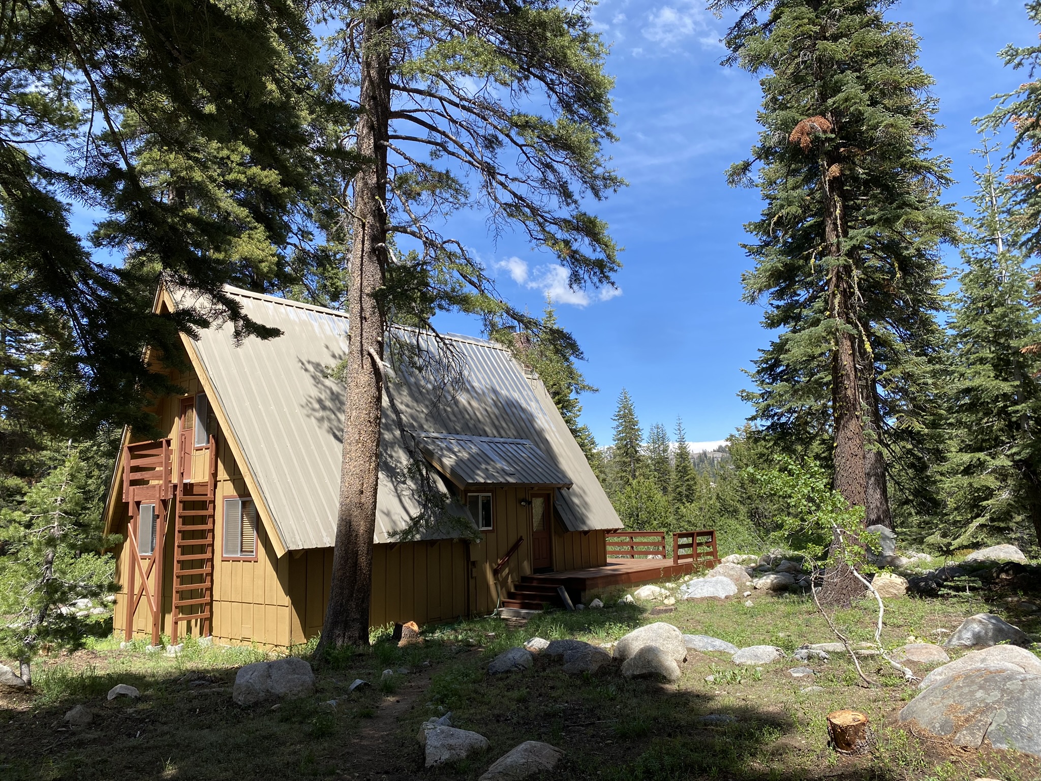 Dazzling Private MidCentury Chalet Bear Valley Real Estate